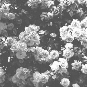 Meet your Posher, Claire